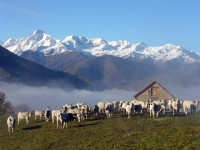 /album/la-belle-france/gites-ariege-jpg/